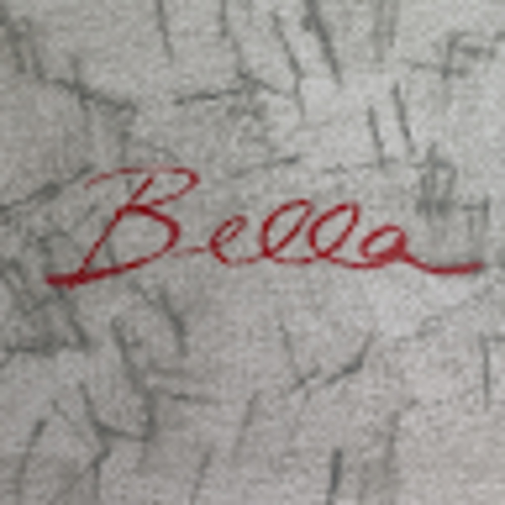 Meet your Posher, Bella